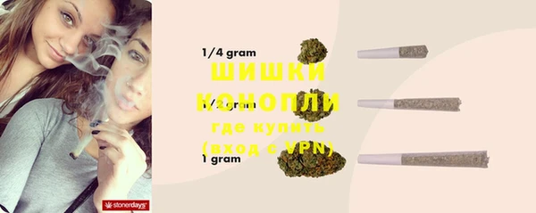 PSILOCYBIN Болохово