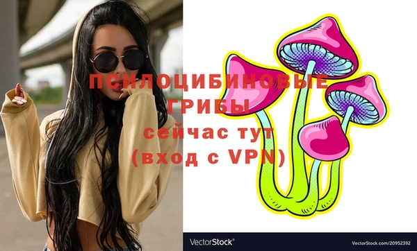 бутират Новодвинск