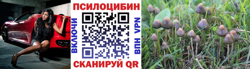 Псилоцибиновые грибы Psilocybine cubensis  Урус-Мартан 