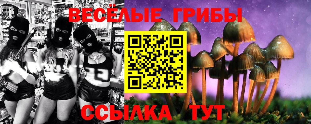 Псилоцибиновые грибы прущие грибы  Вход с VPN  Галлюциногенные грибы мицелий  Урус-Мартан 