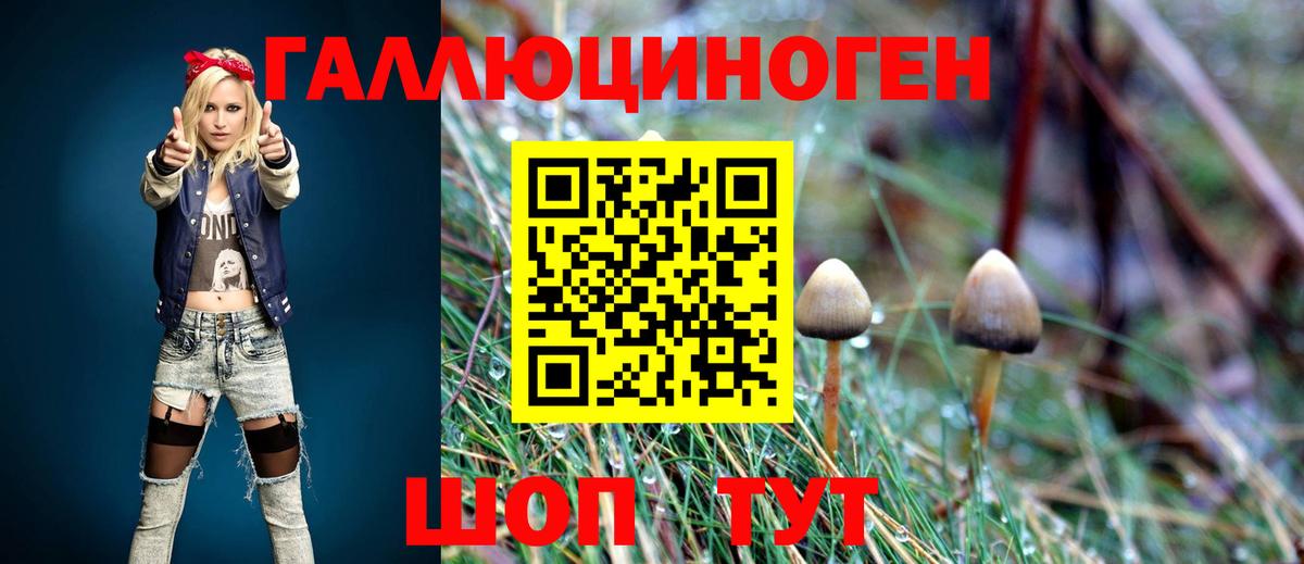 Псилоцибиновые грибы мицелий Урус-Мартан